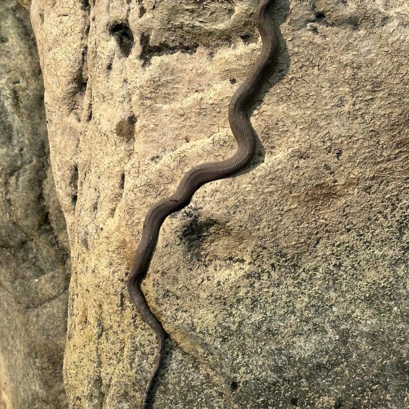 a person standing in a rocky area