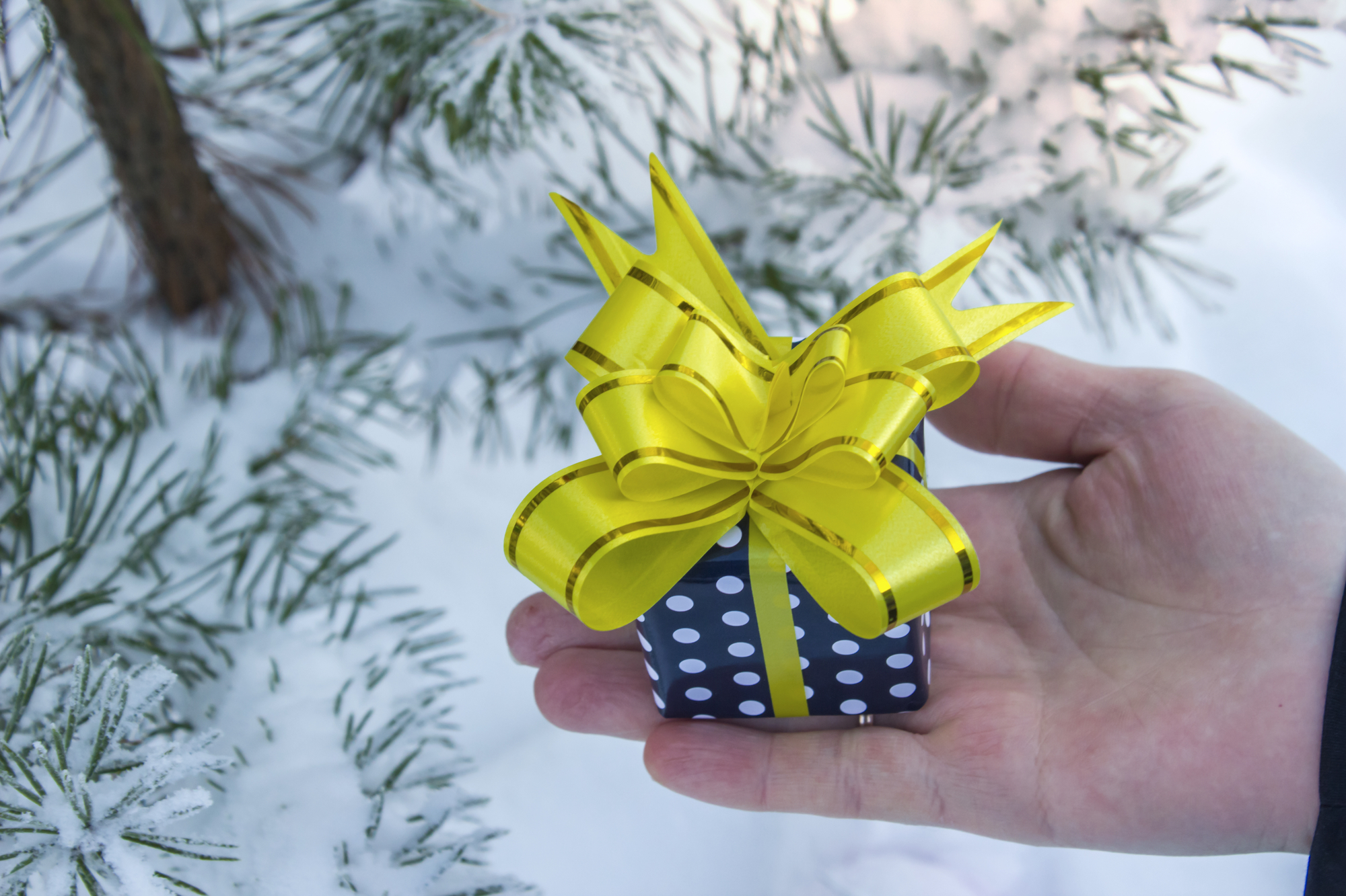 bogo gift cards bogo gift cards