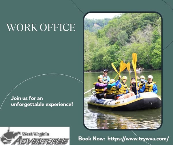 graphical user interface, website