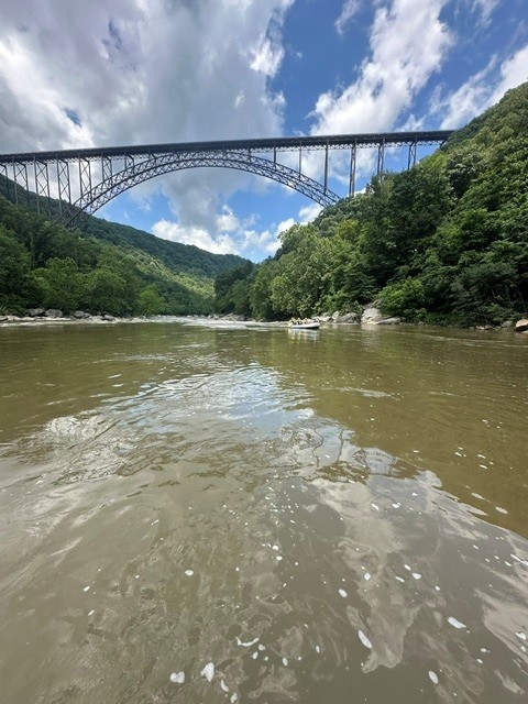 a bridge over a body of water