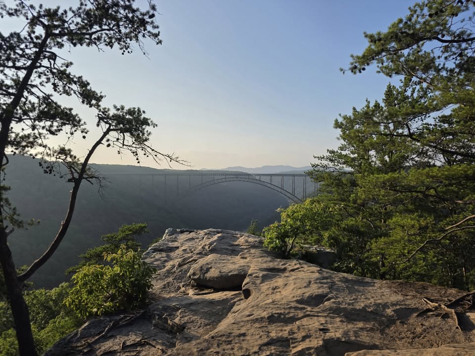Scenic view of a bridge framed by trees from a rocky overlook.