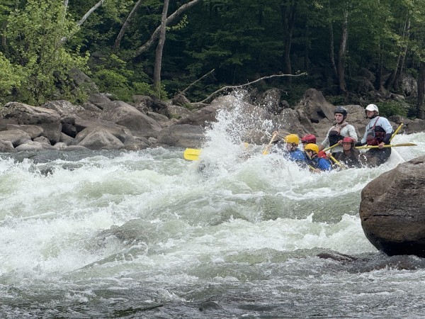Group whitewater rafting on a river surrounded by rocks and trees.
